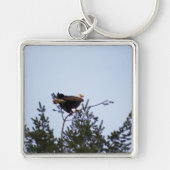 ハゲワシ キーホルダー (正面)