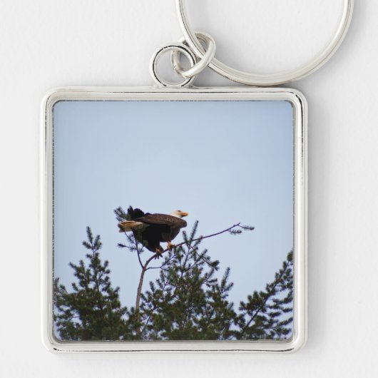 ハゲワシ キーホルダー (正面)