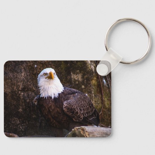 ハゲワシ キーホルダー (正面)