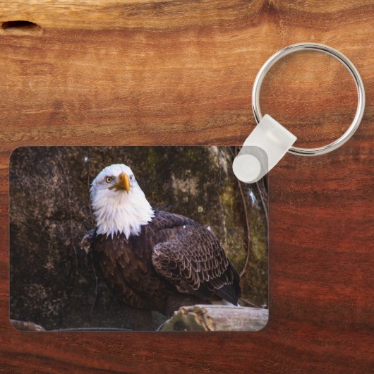 ハゲワシ キーホルダー (正面)
