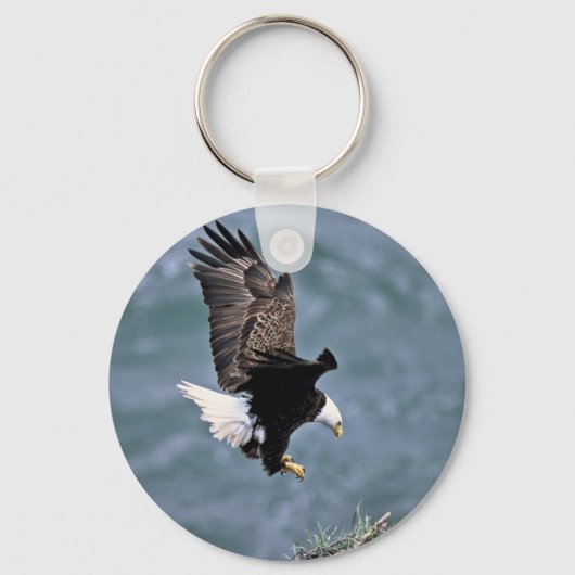 ハゲワシ キーホルダー (正面)