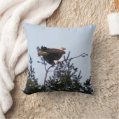 ハゲワシ クッション (ブランケット)