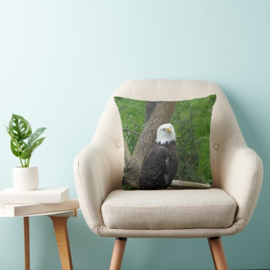 ハゲワシ クッション (椅子)