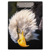 ハゲワシ クリップボード (正面)