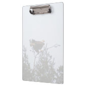 ハゲワシ クリップボード (左)