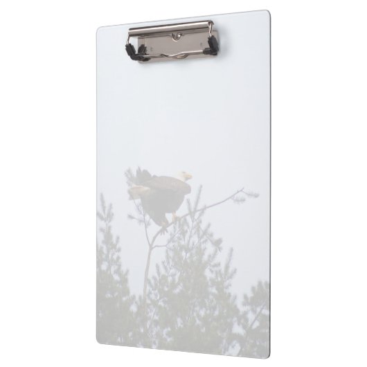 ハゲワシ クリップボード (左)