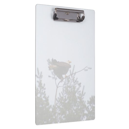 ハゲワシ クリップボード (右)