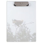 ハゲワシ クリップボード (正面)