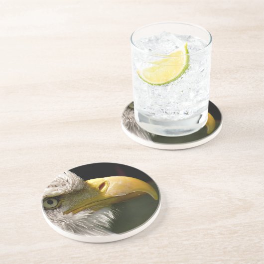 ハゲワシ コースター (側面)