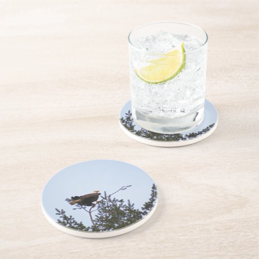 ハゲワシ コースター (側面)