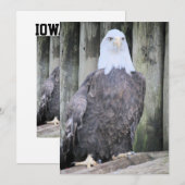 ハゲワシ シーズンカード (正面/裏面)