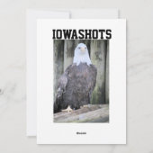 ハゲワシ シーズンカード (裏面)