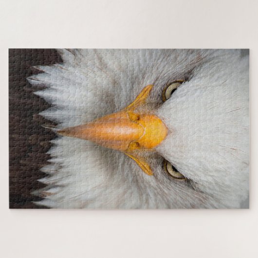 ハゲワシ ジグソーパズル (横)