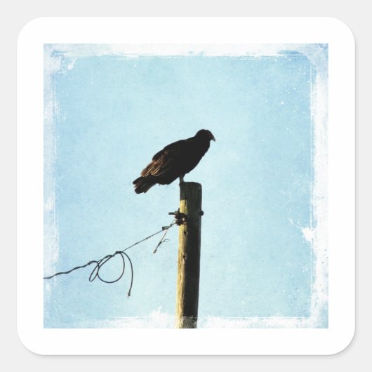 ハゲワシ スクエアシール (正面)