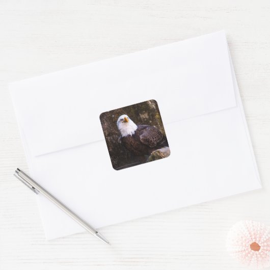 ハゲワシ スクエアシール (封筒)