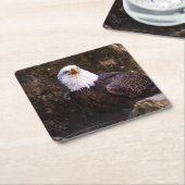 ハゲワシ スクエアペーパーコースター (アングル)