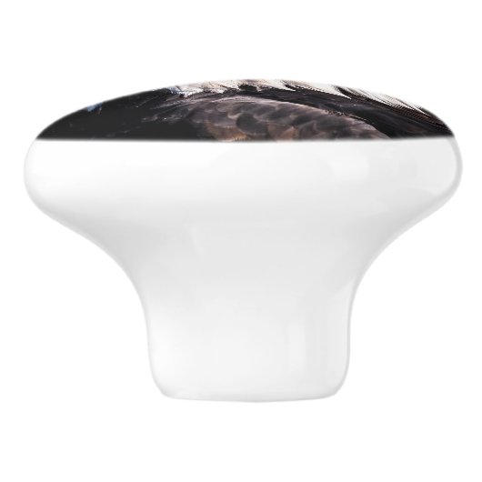 ハゲワシ セラミックノブ (側面)