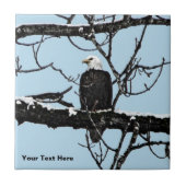 ハゲワシ タイル (正面)