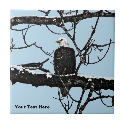 ハゲワシ タイル (正面)