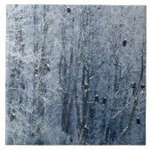 ハゲワシ タイル (正面)