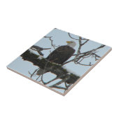 ハゲワシ タイル (側面)