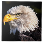 ハゲワシ タイル (正面)