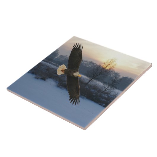 ハゲワシ タイル (側面)