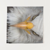 ハゲワシ タペストリー (正面(横))