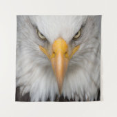 ハゲワシ タペストリー (正面)