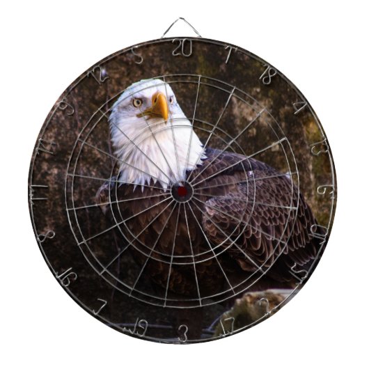 ハゲワシ ダーツボード (正面)