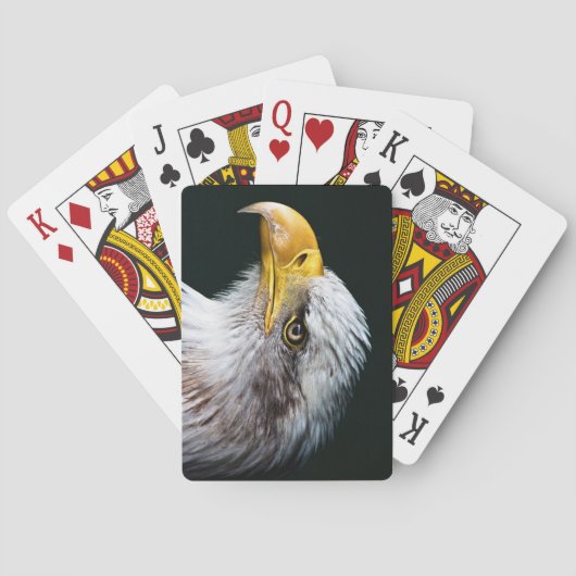 ハゲワシ トランプ (裏面)