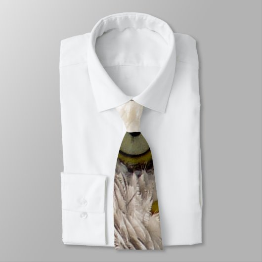 ハゲワシ ネクタイ (タイ)