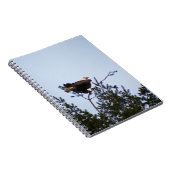 ハゲワシ ノートブック (右側)