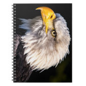 ハゲワシ ノートブック (正面)