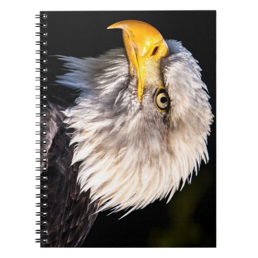 ハゲワシ ノートブック (正面)