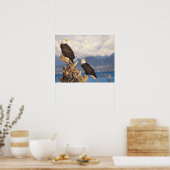 ハゲワシ、ハリアエトス・リュコセファルス ポスター (キッチン)