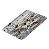 ハゲワシ、ハリアエトス・ロイコセファルス、ホーマー、2 マグネット (左側)