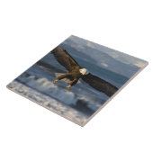 ハゲワシ、ハリアエトス・ロイコセファルス、ホーマー、3 タイル (側面)