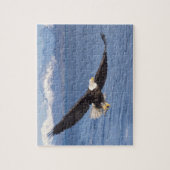 ハゲワシ、ハリファータス・ロイコセファルス、4号機 ジグソーパズル (縦)