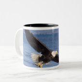 ハゲワシ、ハリファータス・ロイコセファルス、4号機 ツートーンマグカップ (正面左)