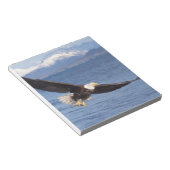 ハゲワシ、ハリファータス・ロイコセファルス、4号機 ノートパッド (アングル)