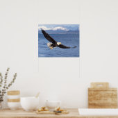 ハゲワシ、ハリファータス・ロイコセファルス、4号機 ポスター (キッチン)