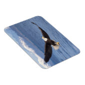 ハゲワシ、ハリファータス・ロイコセファルス、4号機 マグネット (右側)