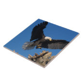 ハゲワシ、ヒラメ頭脳、着陸 タイル (側面)