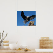 ハゲワシ、ヒラメ頭脳、着陸 ポスター (キッチン)