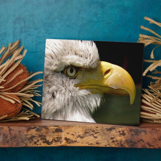 ハゲワシ フォトプラーク (側面)