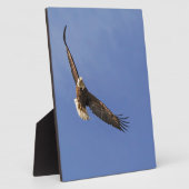 ハゲワシ フォトプラーク (側面)