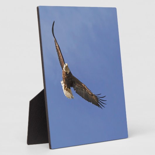 ハゲワシ フォトプラーク (側面)