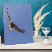 ハゲワシ フォトプラーク (側面)