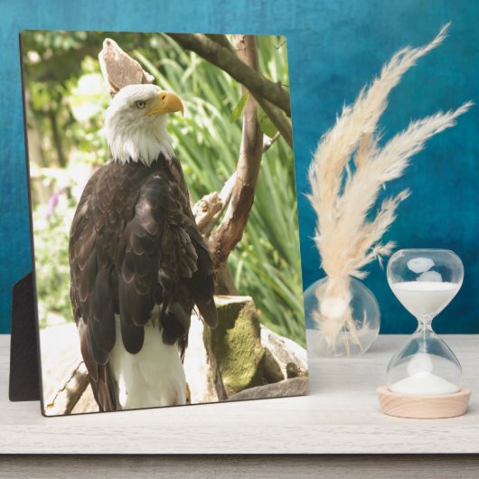 ハゲワシ フォトプラーク (側面)